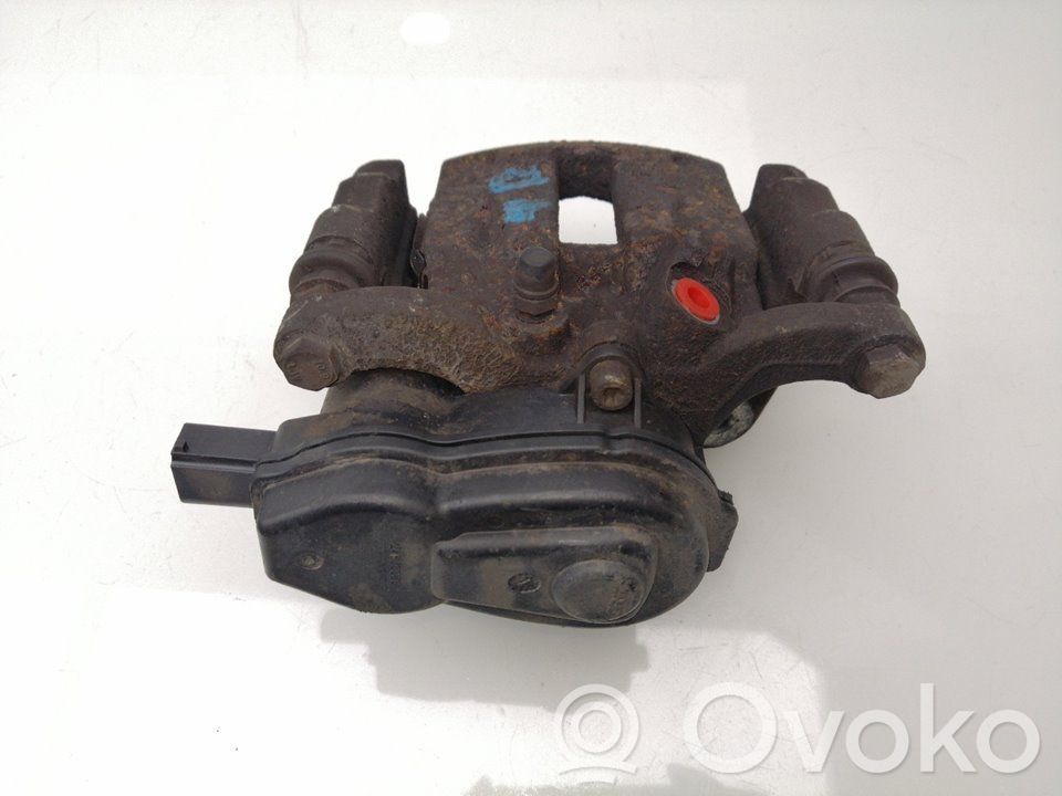 Takajarrusatula   LR043282,32337647C