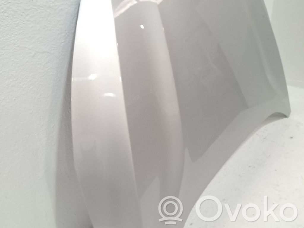 Dangtis variklio (kapotas)   2513128,PJX7BA16610CA