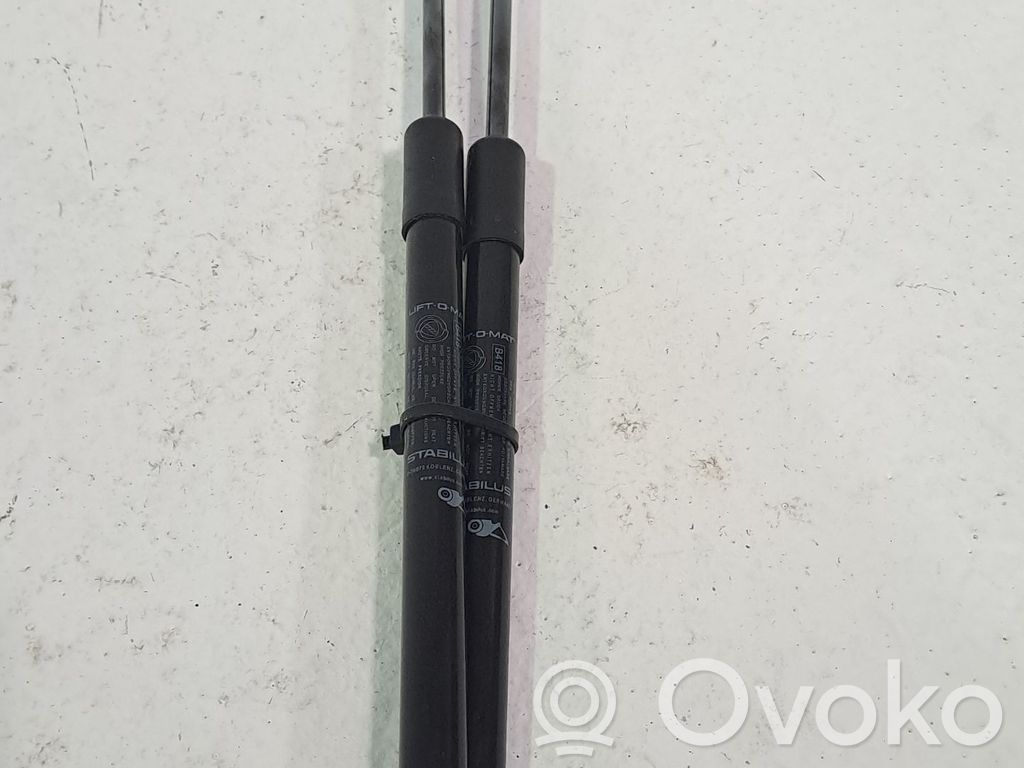 Fiat 500 Tailgate/trunk/boot lid buffer 
