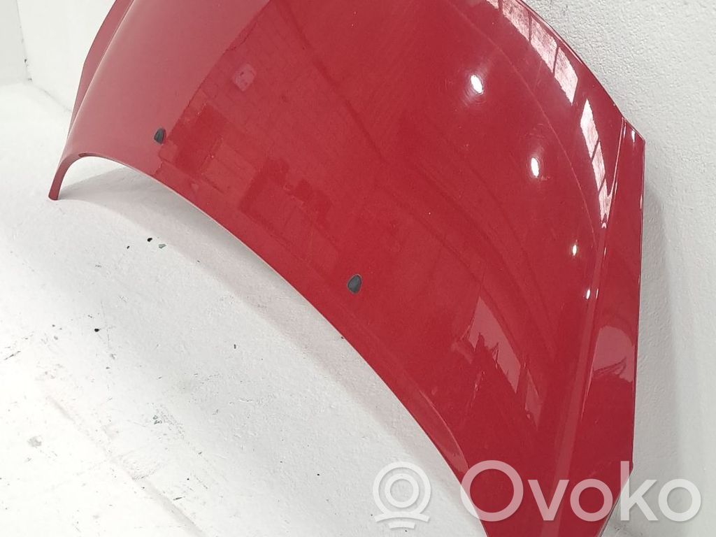 Motorhaube   7901N2