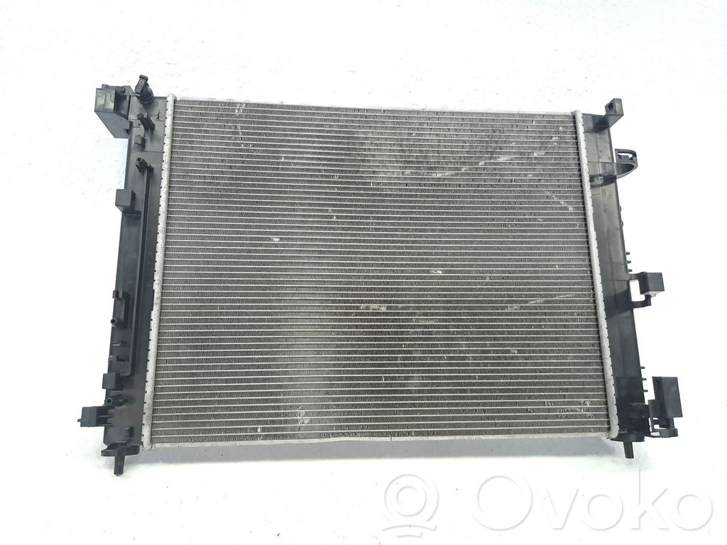 Radiateur de refroidissement   214105FA0A