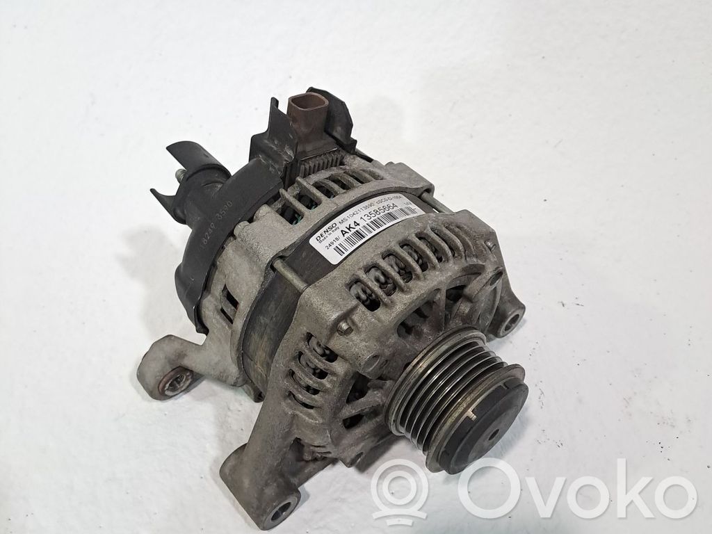 Generator/alternator   13520812