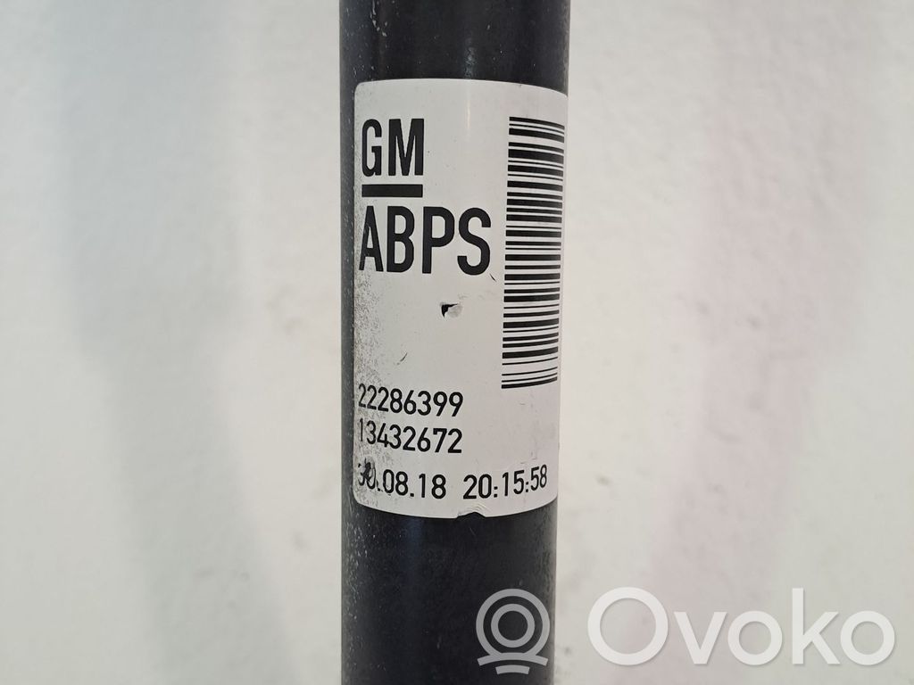 Opel Corsa F Ammortizzatore posteriore