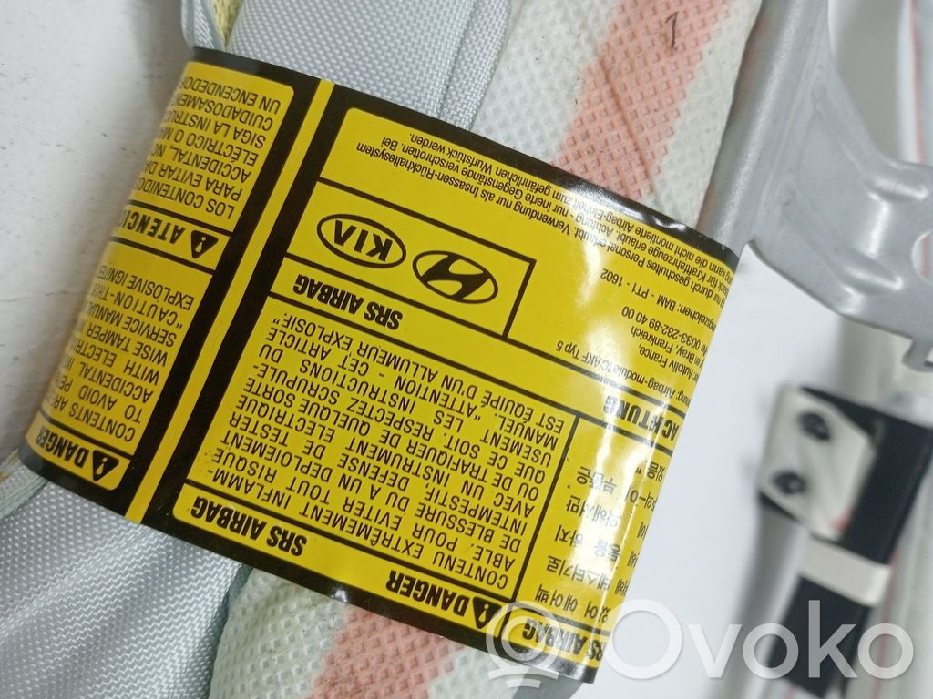 Airbag del techo   850201H300