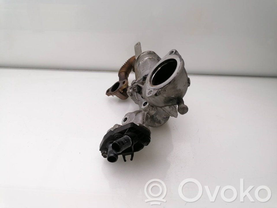 Citroen Xantia Răcitor supapă EGR 