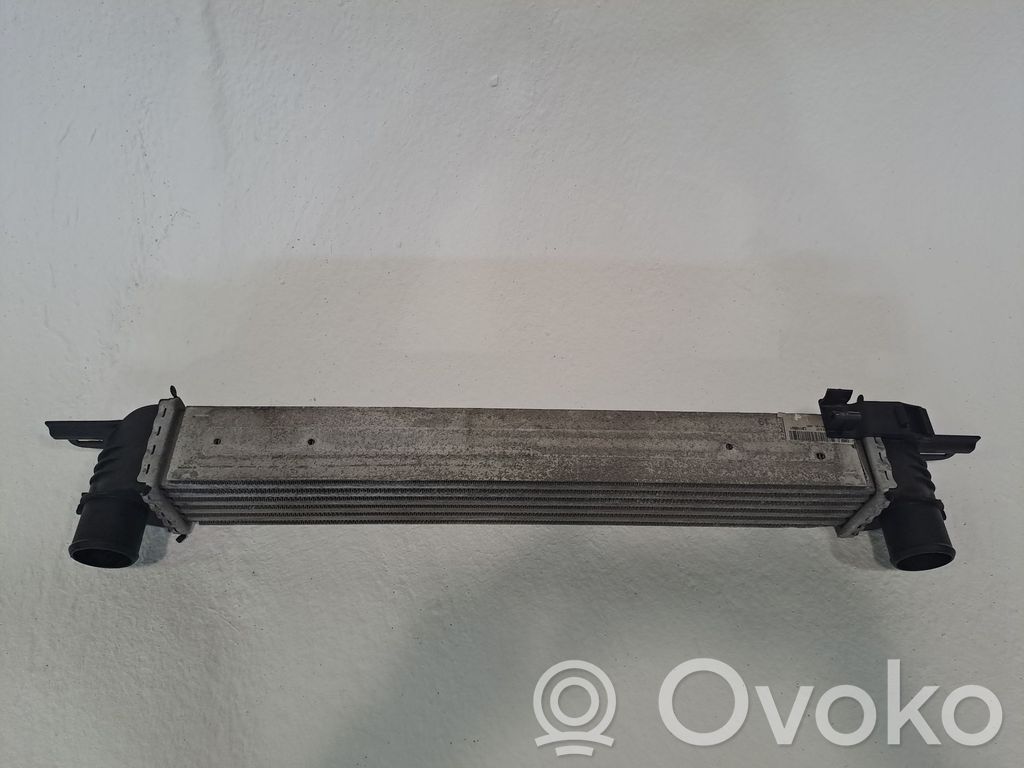 Interkūlerio radiatorius   0384L7