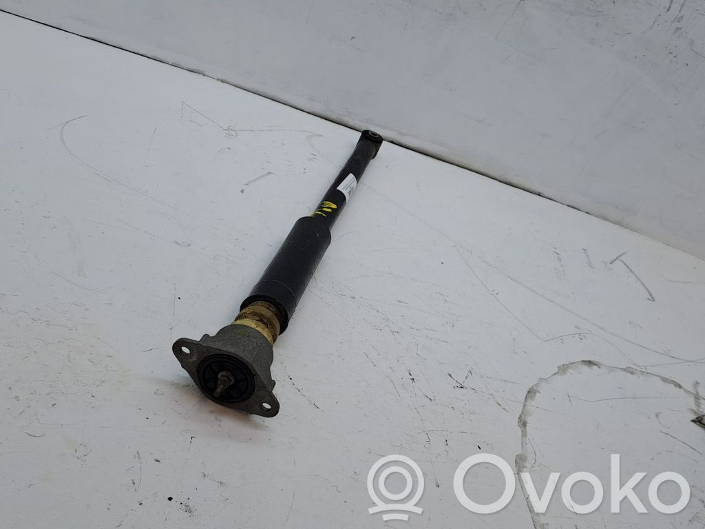 Stoßdämpfer hinten   DF712870XC
