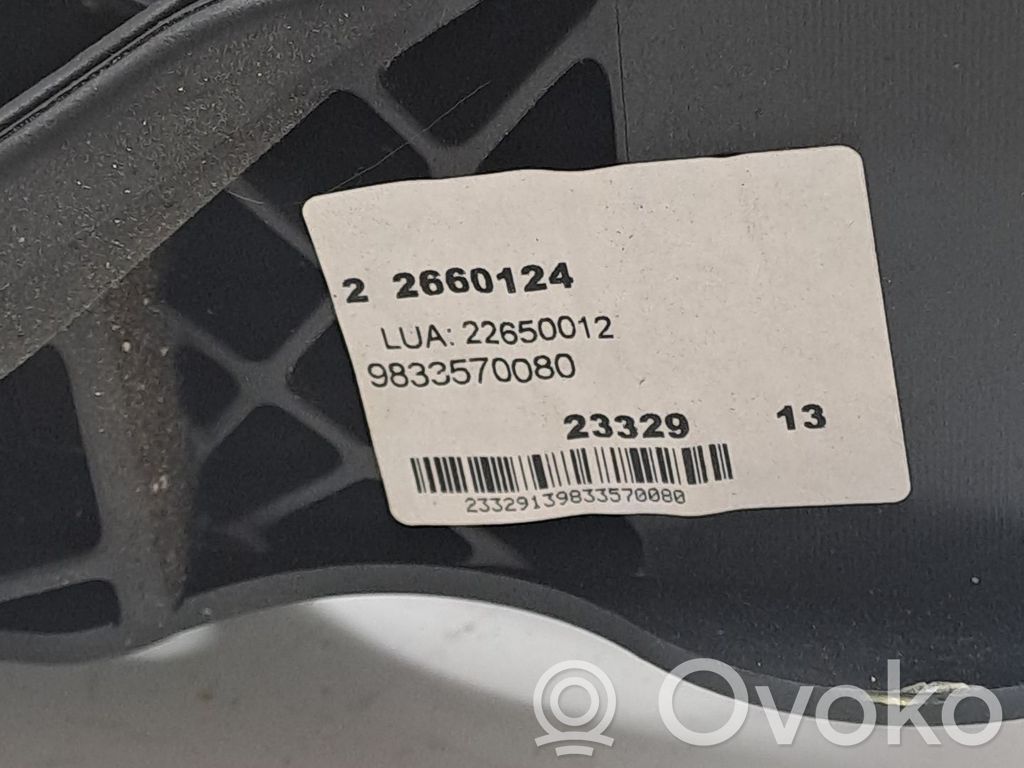 Brake pedal   9816819580,9833570080