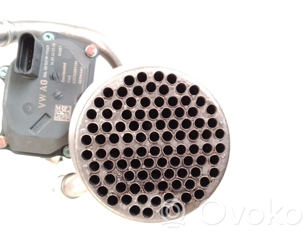 Volkswagen PASSAT B7 Răcitor supapă EGR 