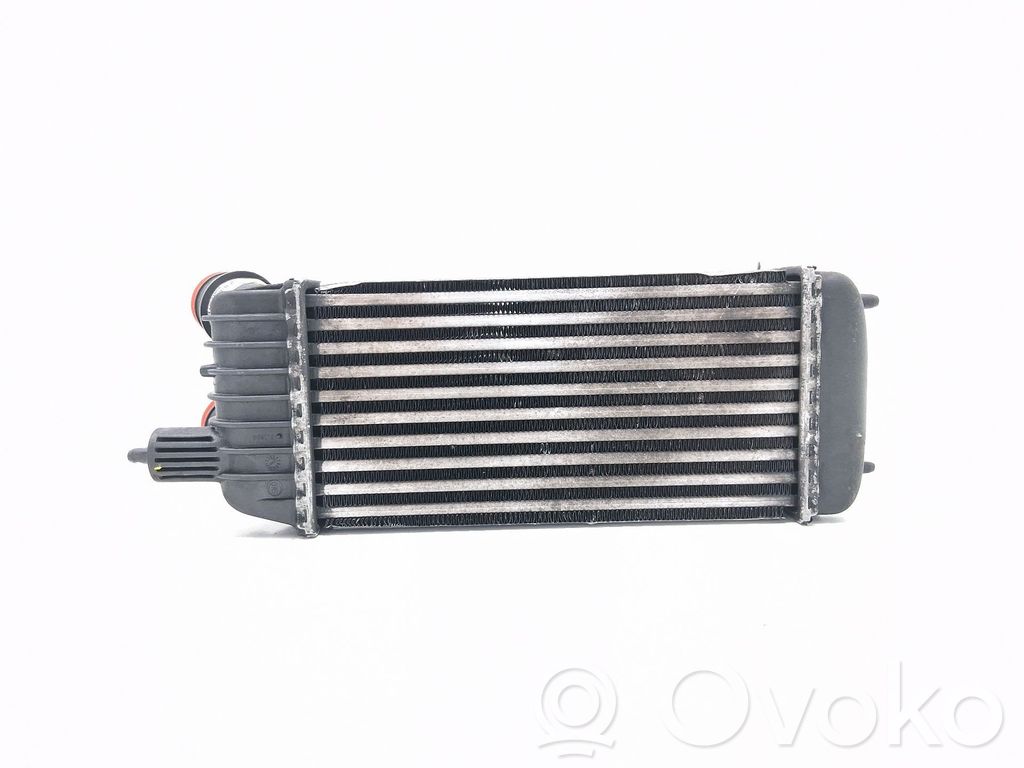 Intercooler radiator   1498987080,E5531008