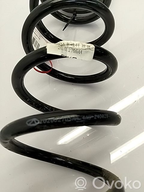 Front coil spring   202002705AA