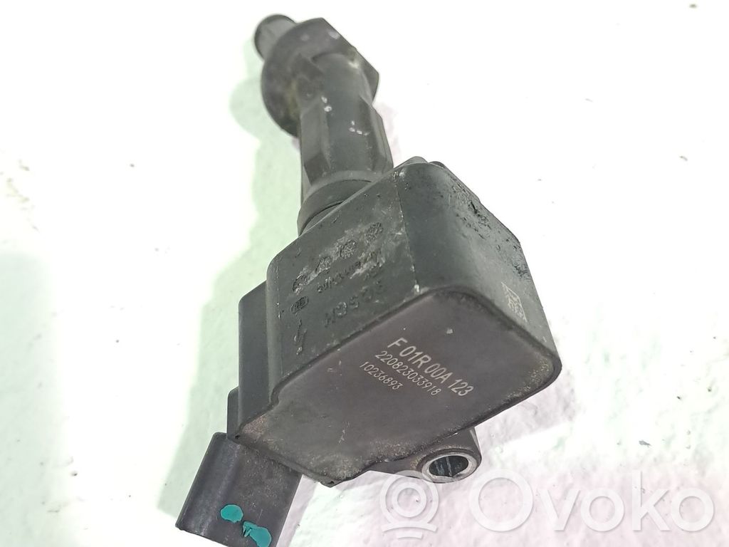 High voltage ignition coil   F01R00A123