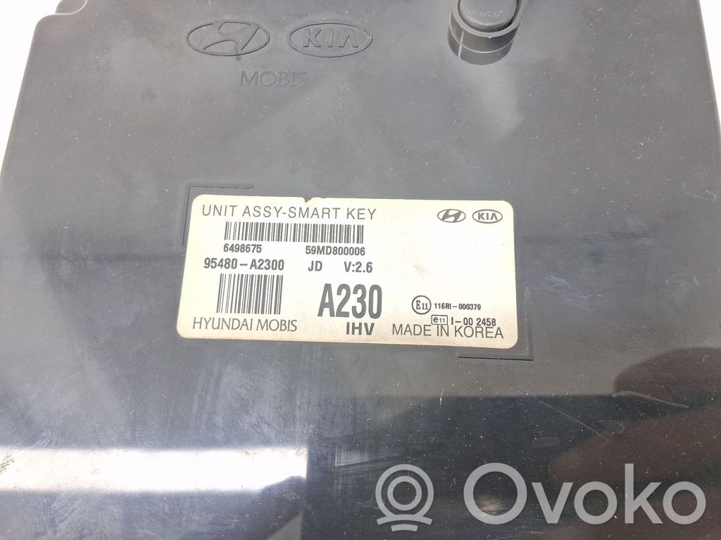 Central body control module   95480A2300
