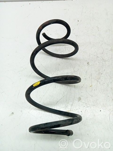 Muelle espiral delantero   550204946R