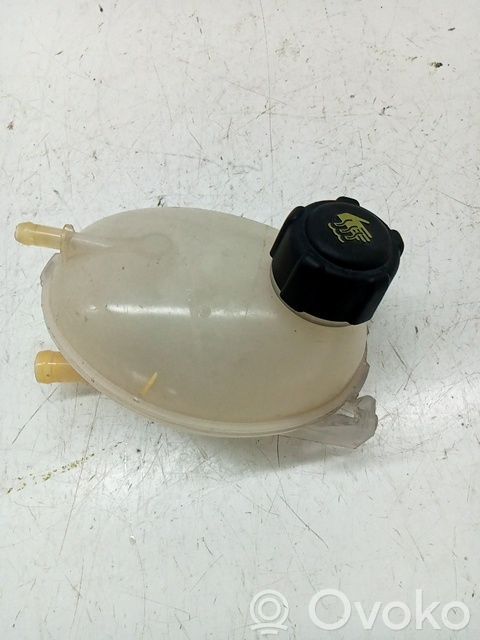 Depósito del refrigerante   217104354R