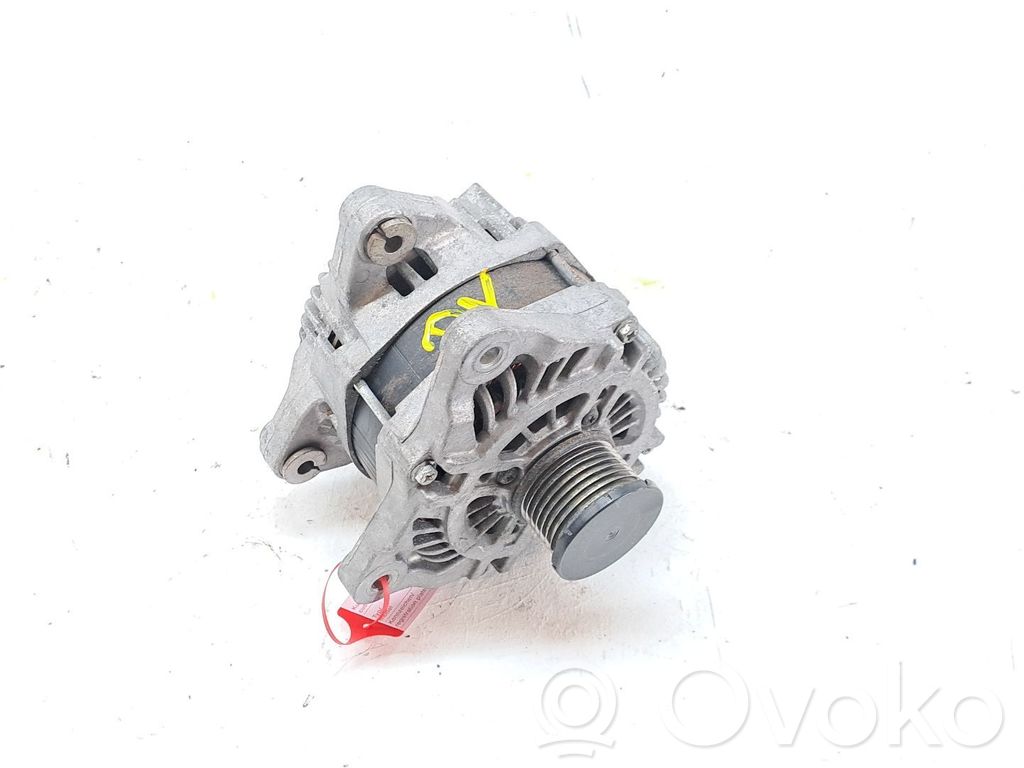 Alternador   231008137R