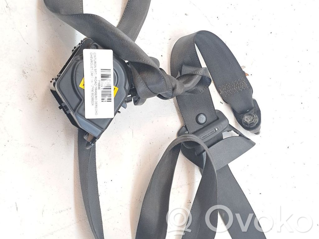 Cinturón trasero   20820823