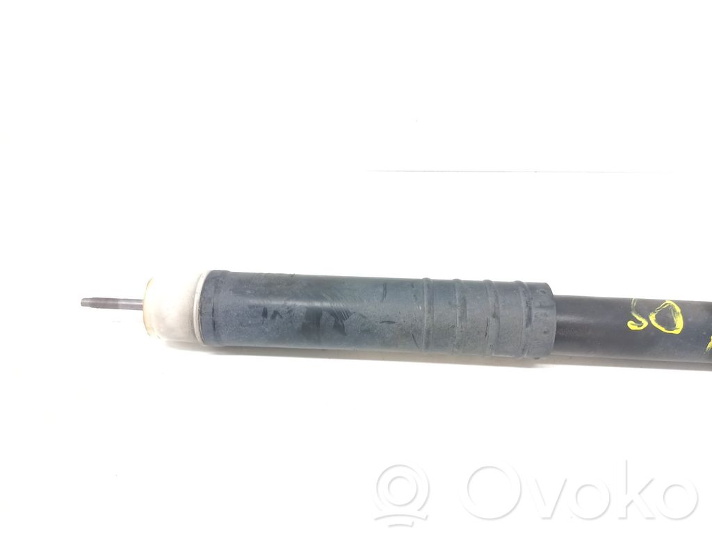 Stoßdämpfer hinten   562107338R
