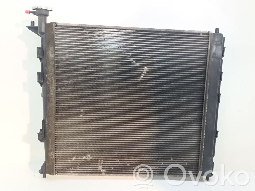 Wasserkühler   253102Y000