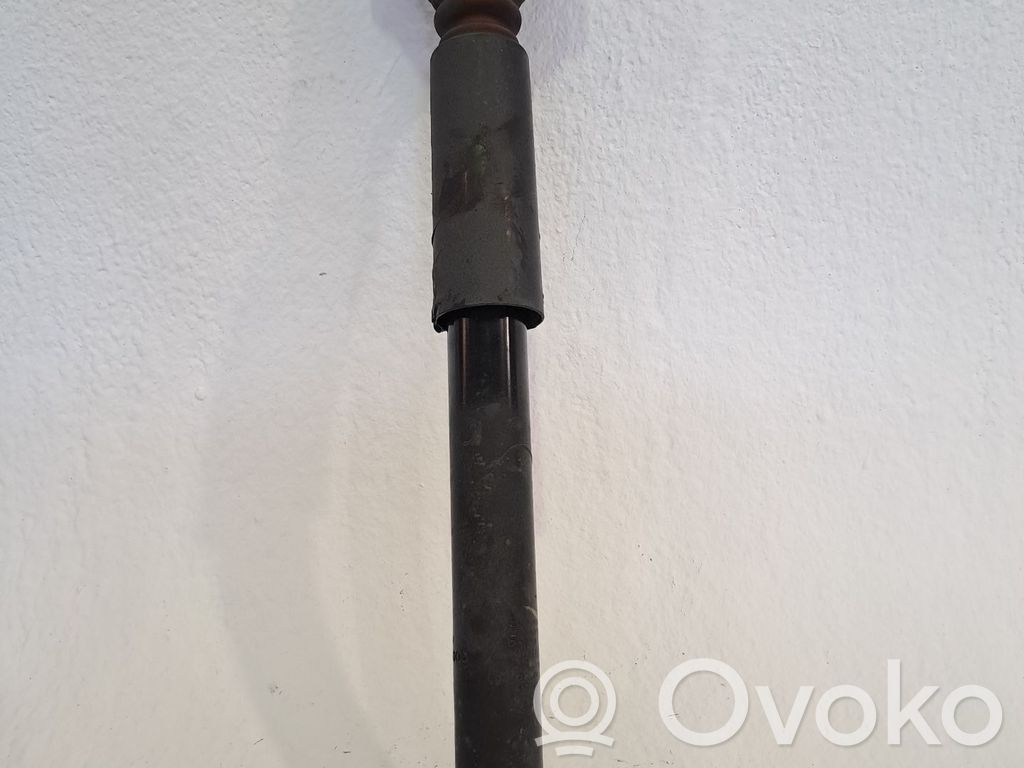 Amortizor spate   55300A6000