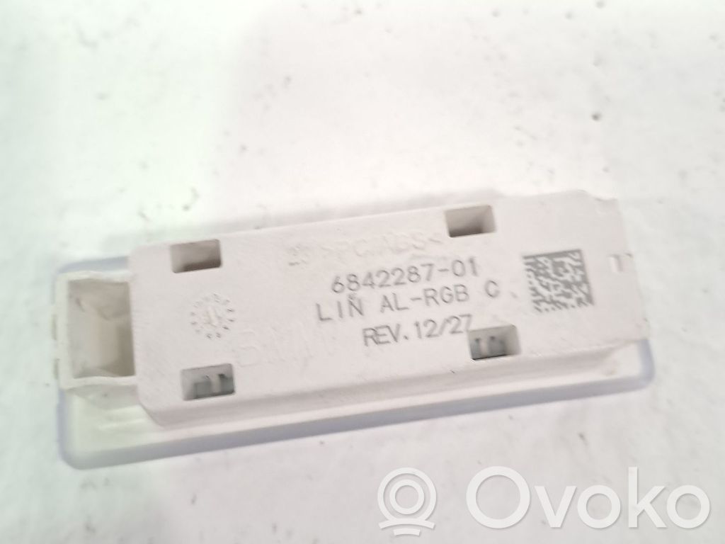 BMW X3 F25 Garniture de console d'éclairage de ciel de toit 