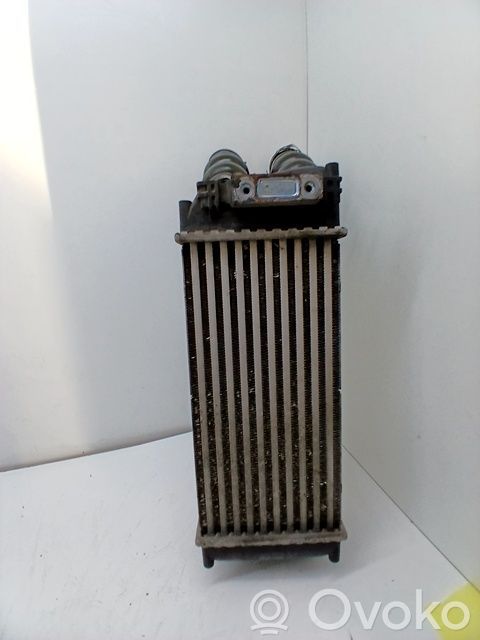Interkūlerio radiatorius   384H5