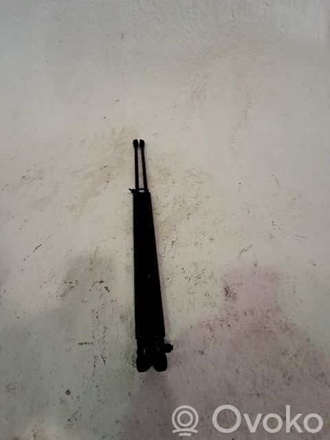 Fiat 500 Tailgate/trunk/boot lid buffer 