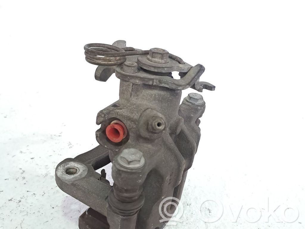 Takajarrusatula   43019SMGE02