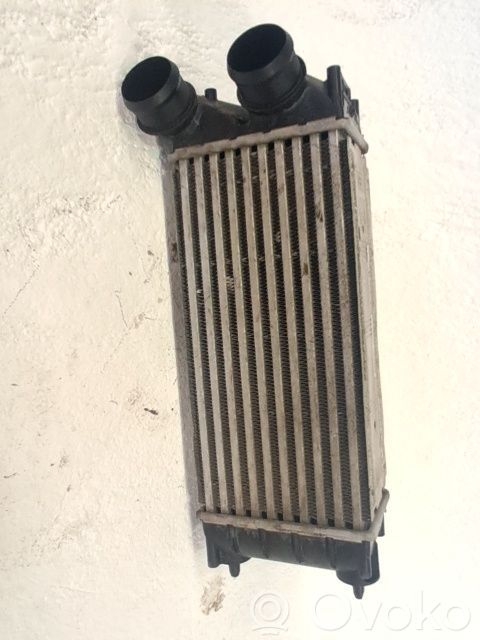 Radiador intercooler   0384N9