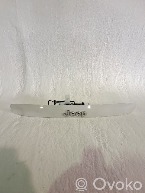 Tailgate trunk handle   ZH33GW7AK