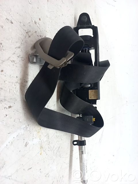 Cinturón delantero   31320499