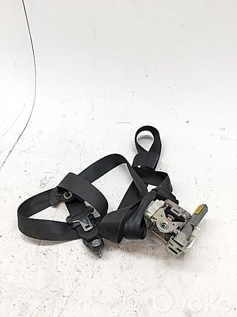 Cinturón delantero   8975TS