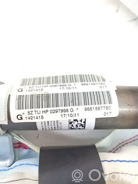 Airbag del techo   8335WK,9681587780