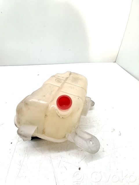 Depósito del refrigerante   42422779
