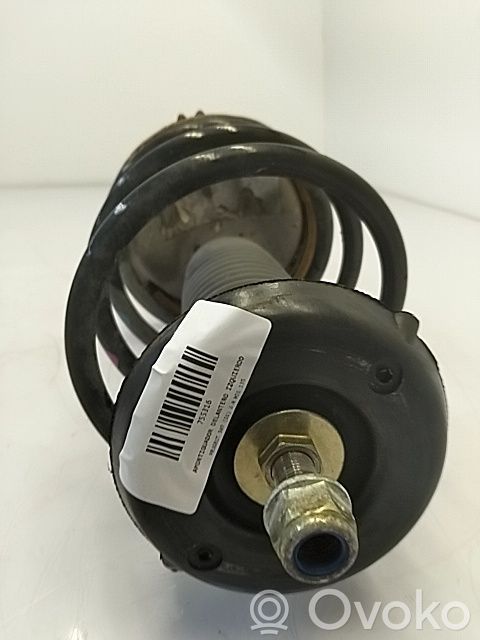 Amortiguador delantero   5202HN