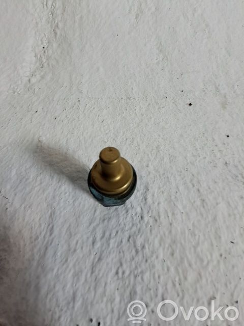 Sensor   06A919501A