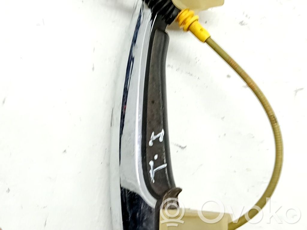 Manecilla externa puerta trasera   51219803705