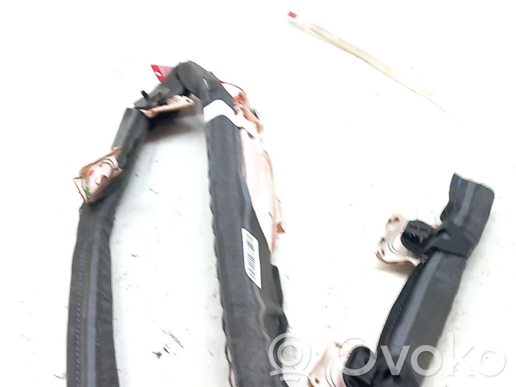 Airbag del techo   34163677D