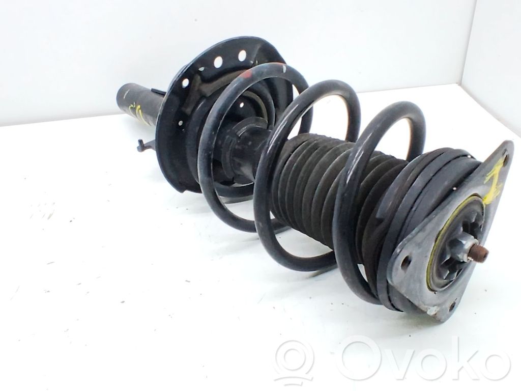 Stoßdämpfer vorne   543026632R