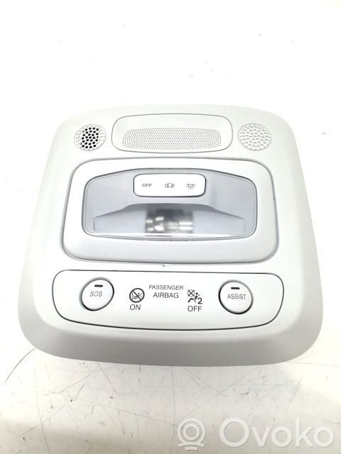 Fiat 500E Headlining lighting console trim 