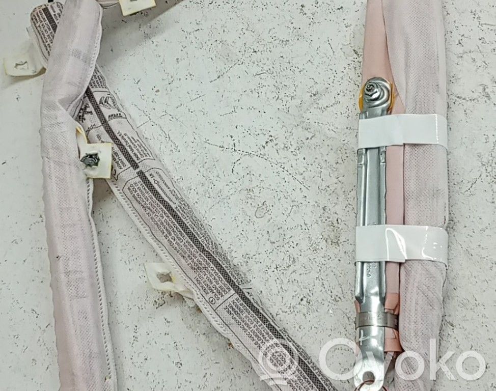 Airbag del techo   9809507180