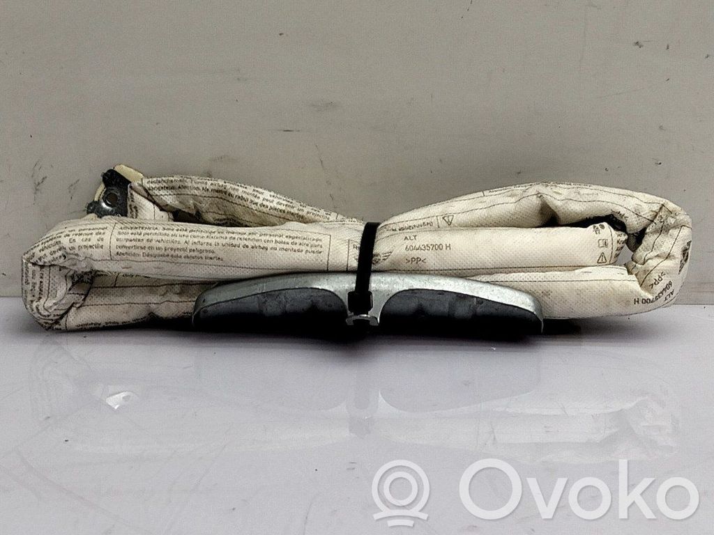 Passenger airbag   72127134078