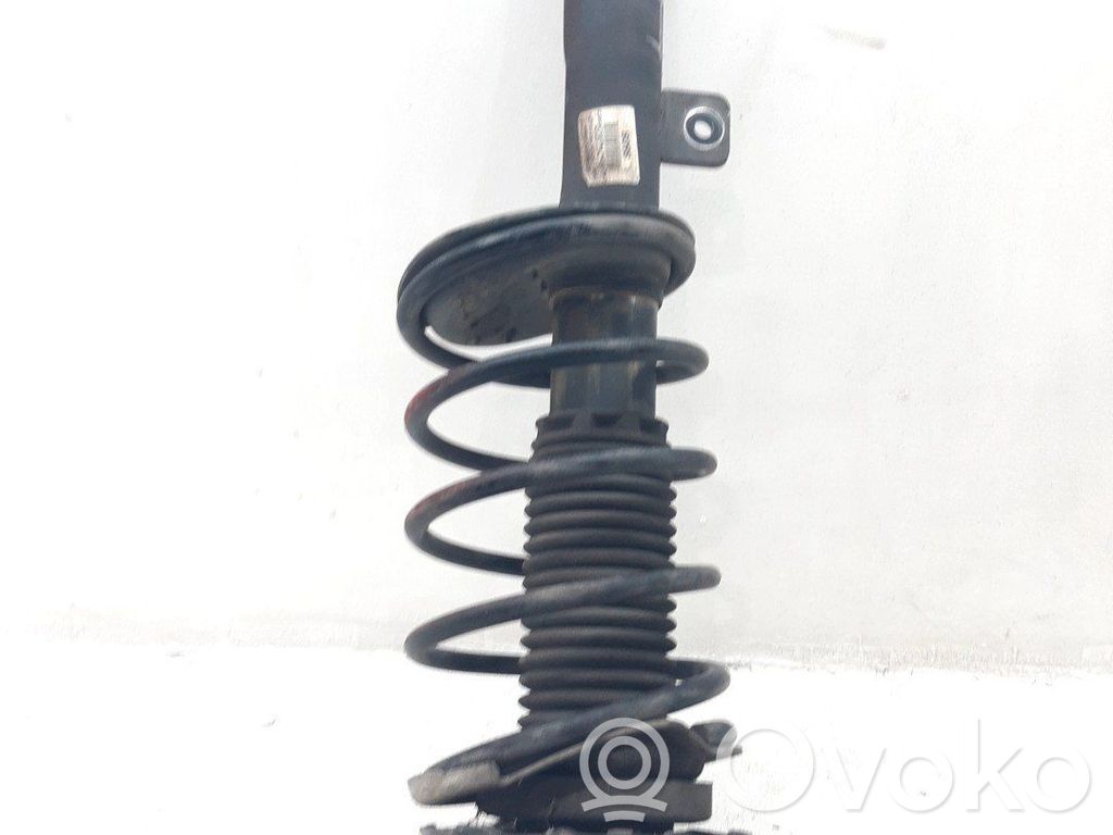 Amortiguador delantero   5202LV