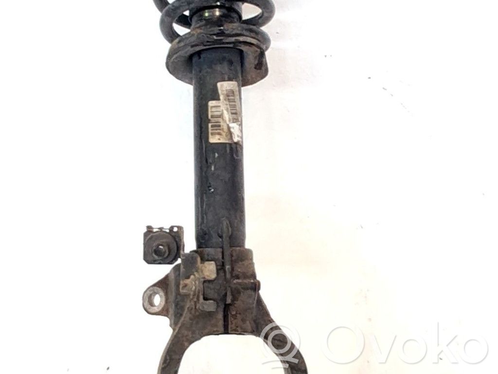 Stoßdämpfer vorne   50515149,50515179