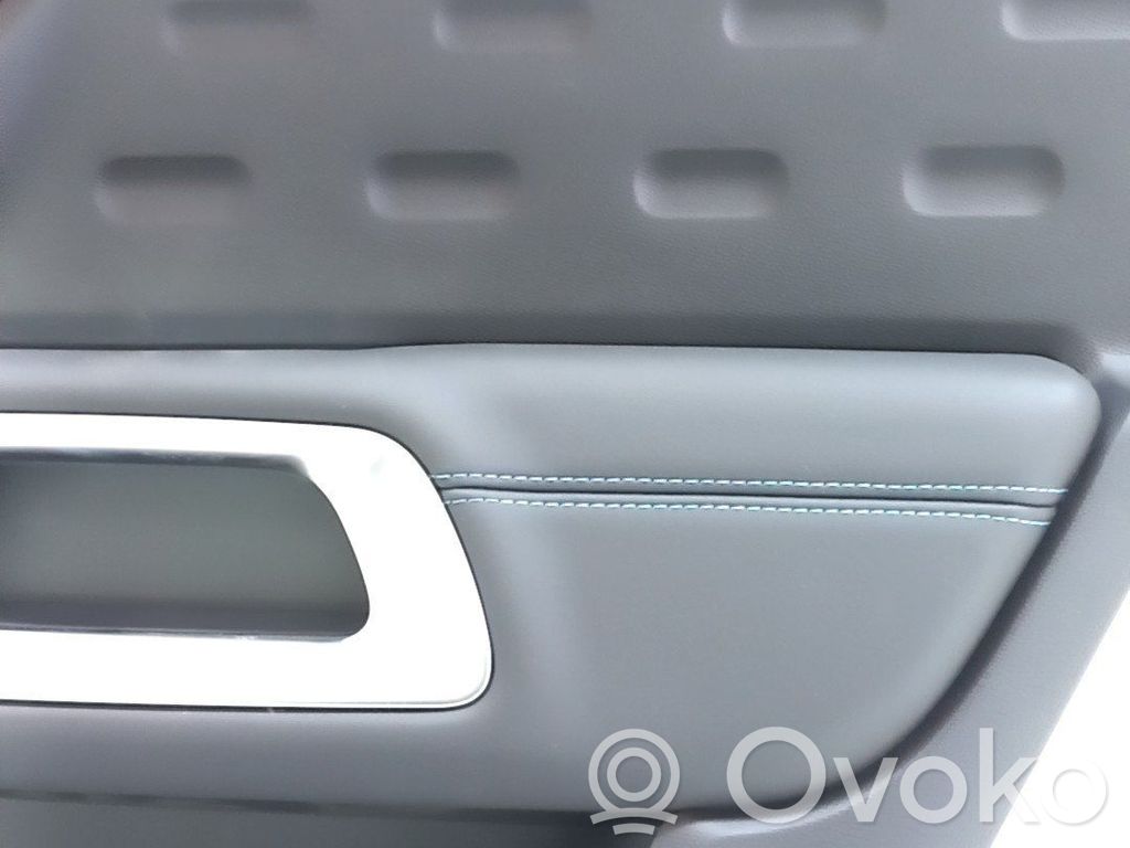 Citroen C5 Aircross Rivestimento del pannello della portiera posteriore 