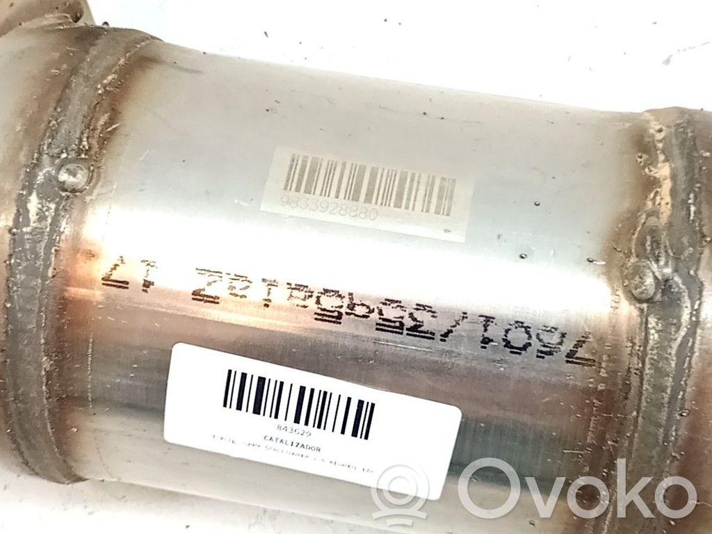 Citroen Jumpy Filtro antiparticolato catalizzatore/FAP/DPF 