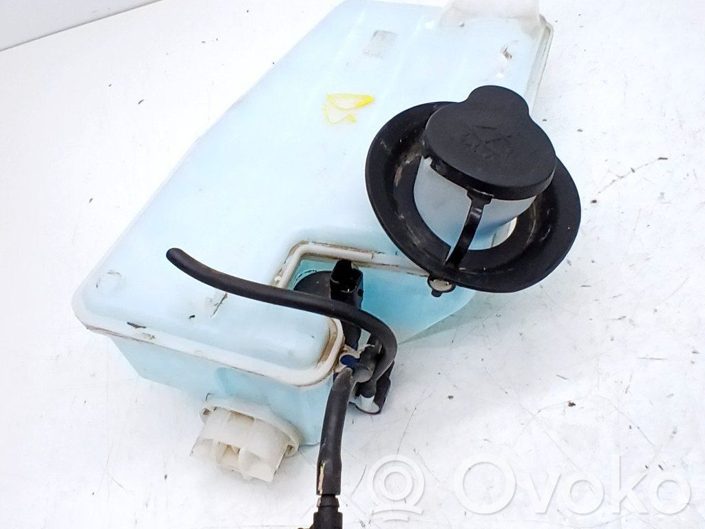 Serbatoio/vaschetta liquido lavavetri parabrezza   289105693R