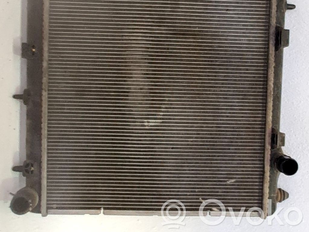 Peugeot 207 Radiator lichid răcire 