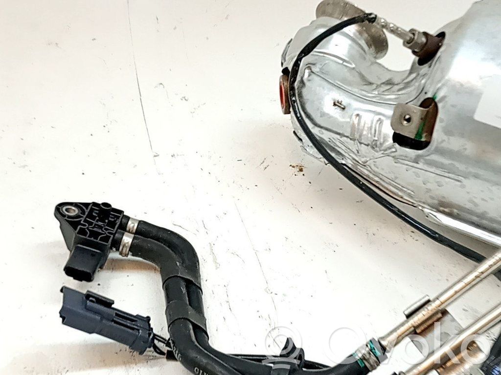 Citroen Berlingo Filtro antiparticolato catalizzatore/FAP/DPF