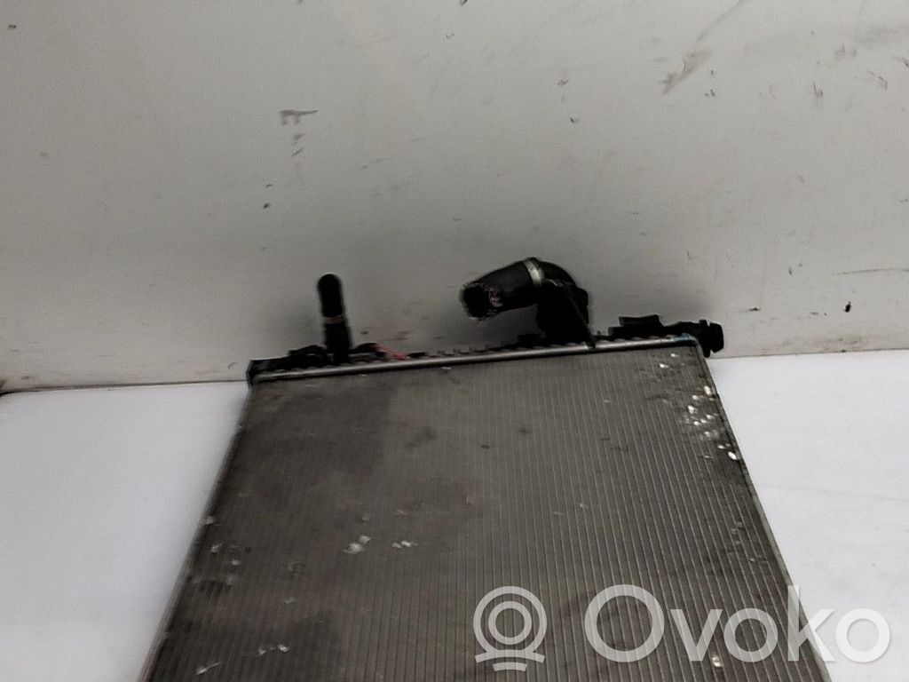 Land Rover Range Rover Evoque L538 Radiator lichid răcire 
